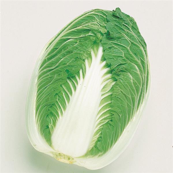 Cabbage Seeds Chinese Blues Vegetable Seeds 1,000 Seeds