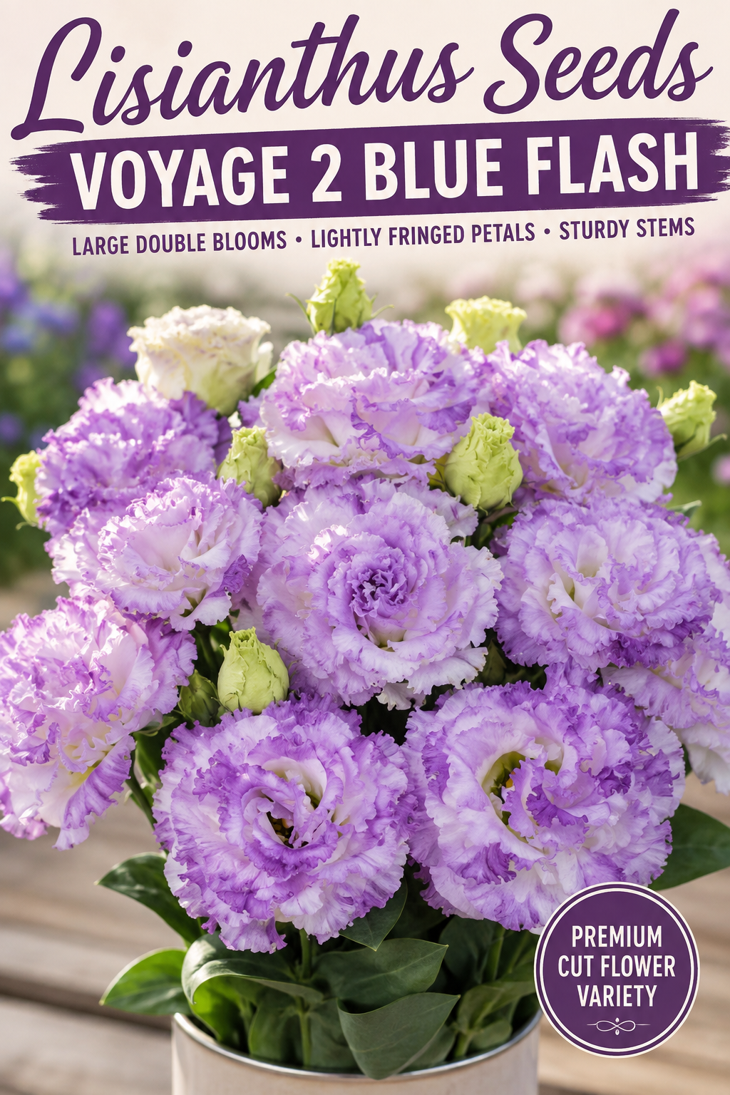Bulk Lisianthus Seeds Lisianthus Voyage 2 Blue Flash Pelleted Seeds