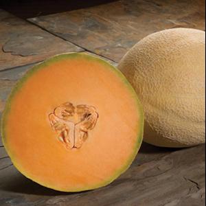 Melon Seeds Melon Atlantis Vegetable Seeds Muskmelon