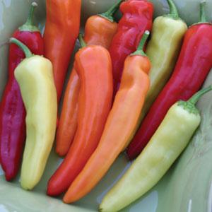 Hot Pepper Seeds Hungarian Hot Wax Vegetable Seeds