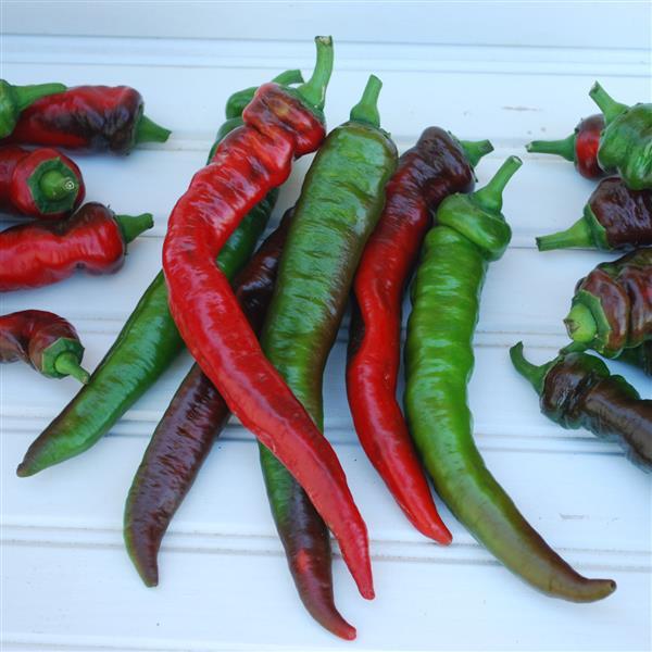 1,000 Sweet Pepper Seeds Jimmy Nardello’s Vegetable Seeds