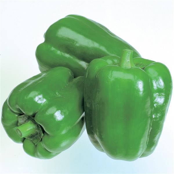 Sweet Pepper Seeds New Ace Vegetable Seeds
