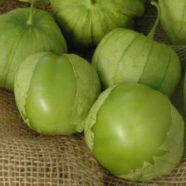 Tomatillo Seeds Tamayo Vegetable Seeds