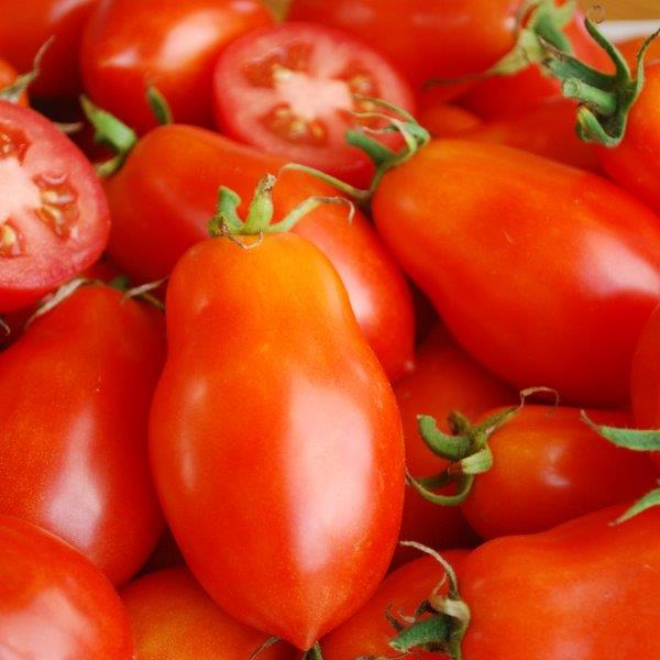 Roma Tomatoes Roma Vf Organic Tomato Seeds