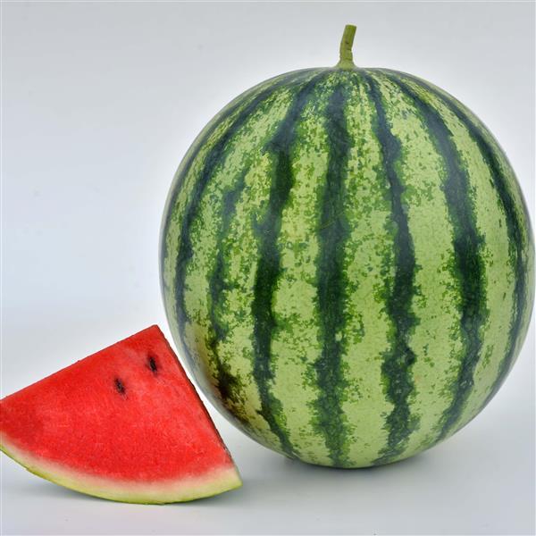 Watermelon Seeds Mambo F1 Vegetable Seeds