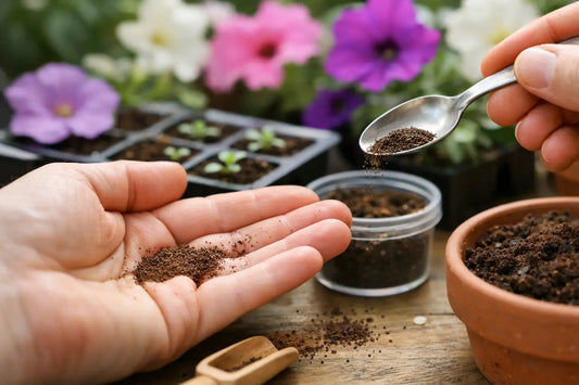 Why Are Petunia Seeds So Small? A Grower's Answer