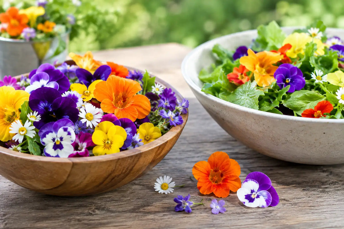 Edible Flower Trends for Garden and Market