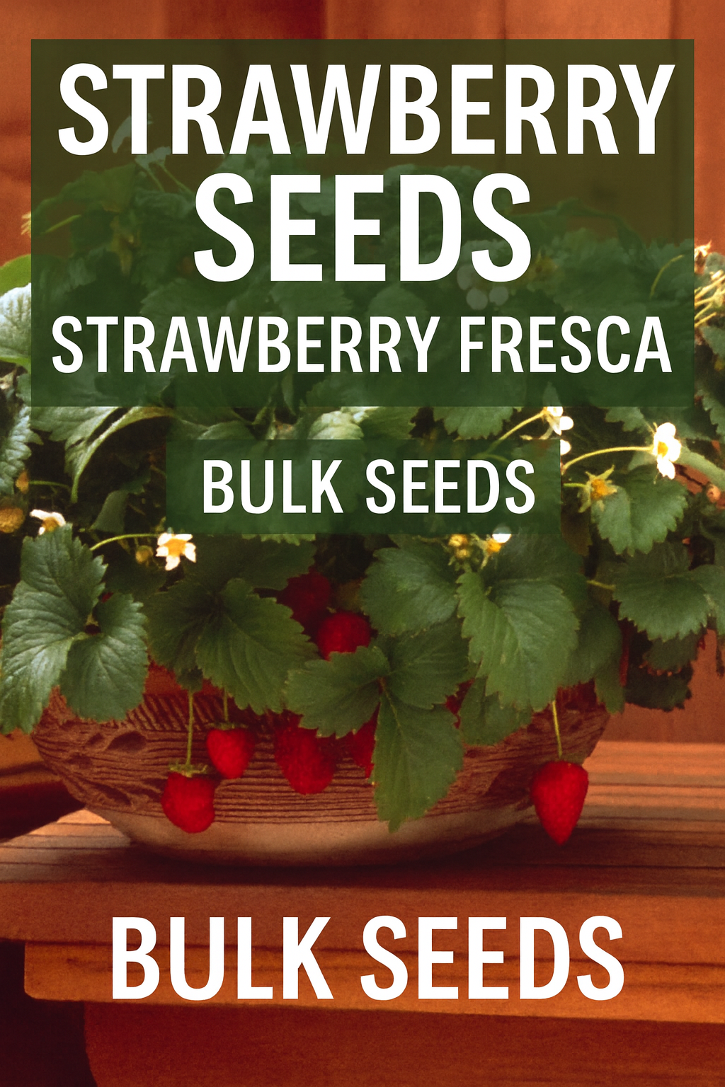 Strawberry Fresca plant with white flowers and ripe red strawberries growing in a container.