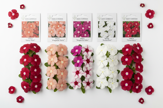 Bulk vinca seeds variety flat lay showing Cora XDR, Titan, Tattoo, Mega Bloom, and Blockbuster flowers in red, apricot, magenta, polka dot, and white with seed packets