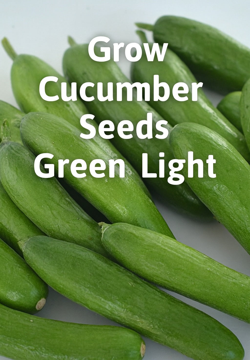 Grow Cucumber Seeds Green Light for Crisp and Flavorful Harvests