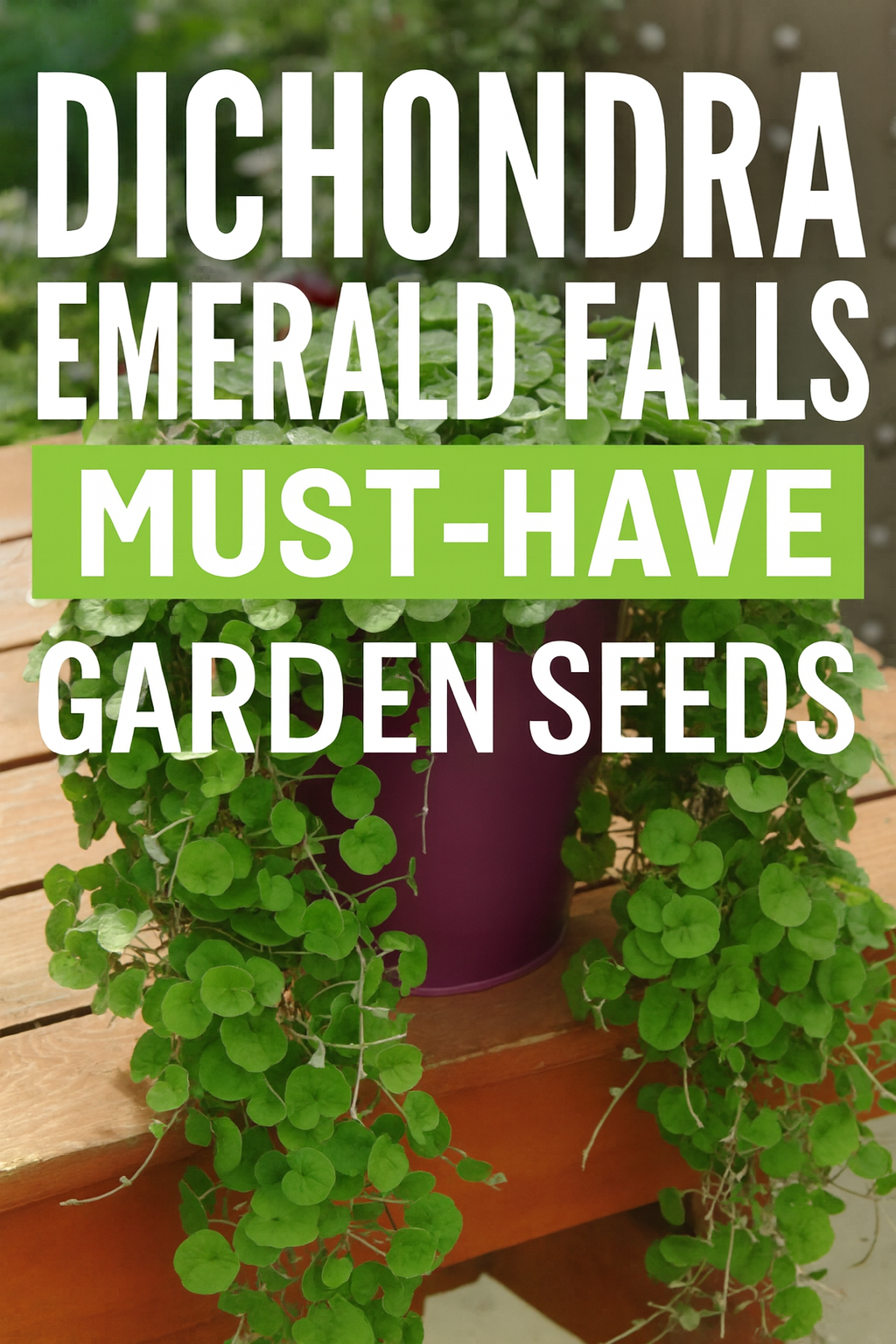 Dichondra Emerald Falls with lush trailing green foliage cascading from a basket.