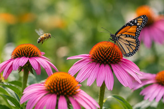 Which Flowers Attract Pollinators? Best Picks