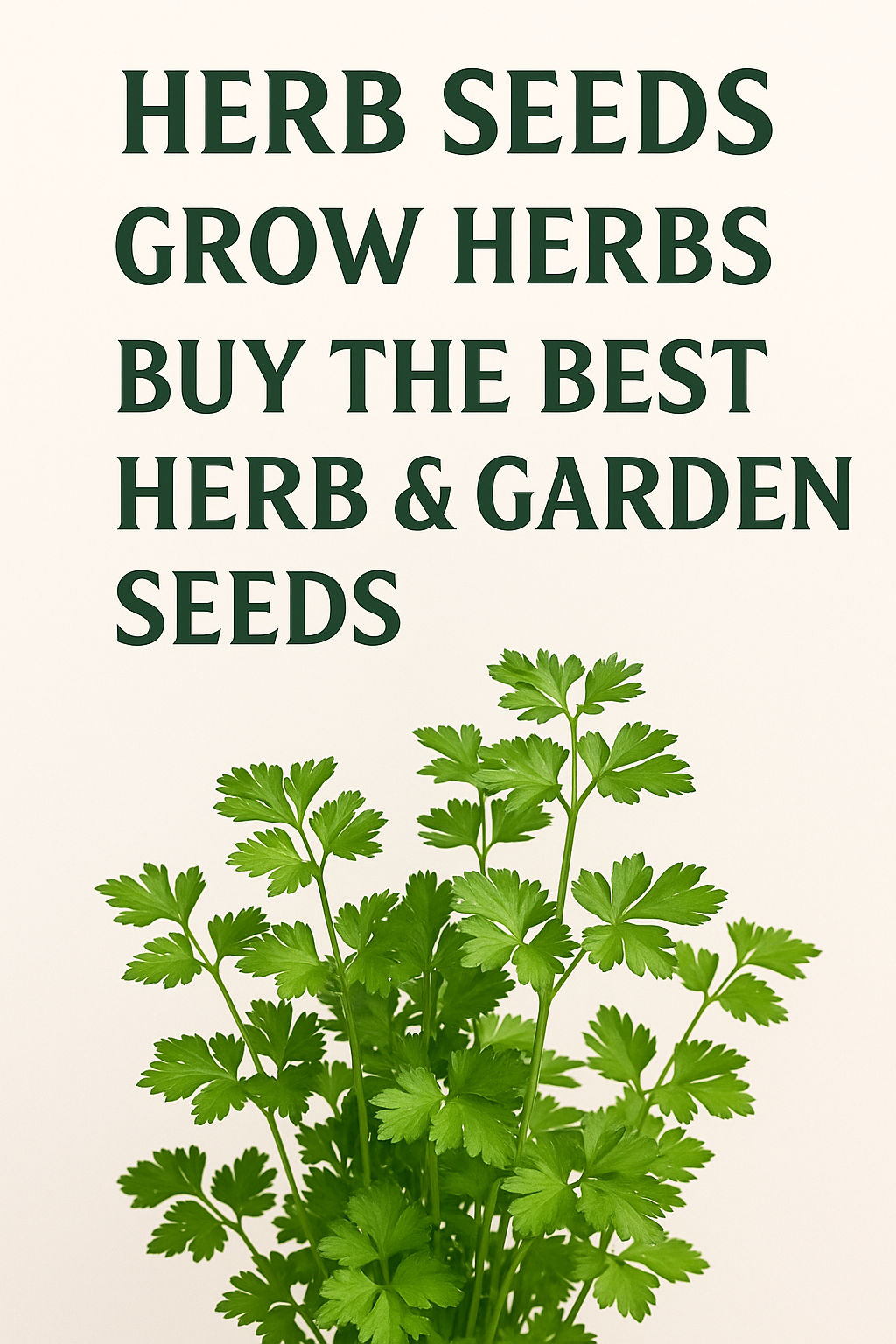 lush herb plant growing from seed