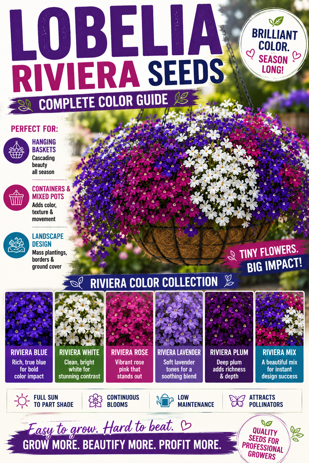 Lobelia Riviera seed color guide for containers, hanging baskets, and landscape plantings.