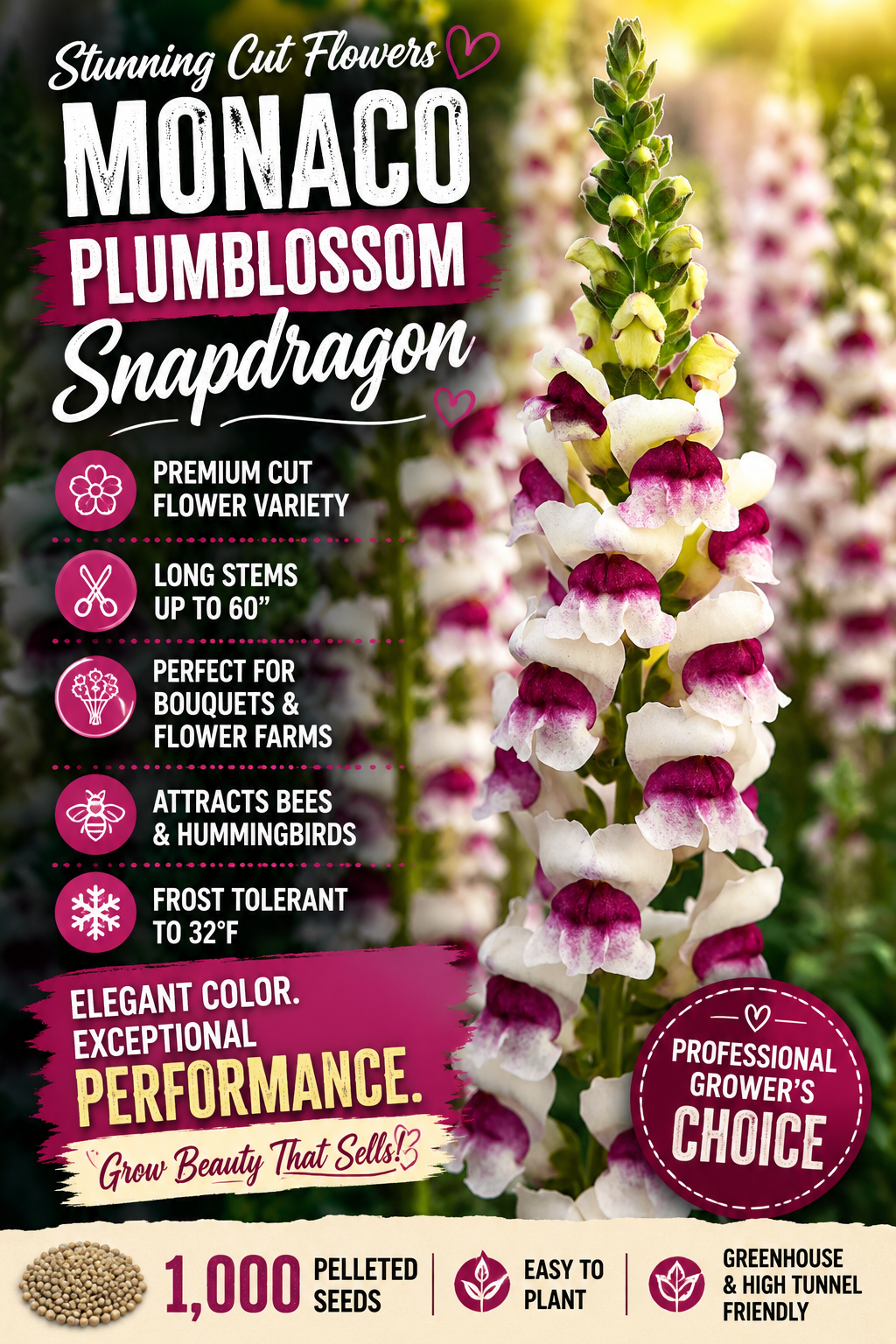 1,000 Pelleted Snapdragon Seeds – Monaco Plumblossom Cut Flower Snapdragon