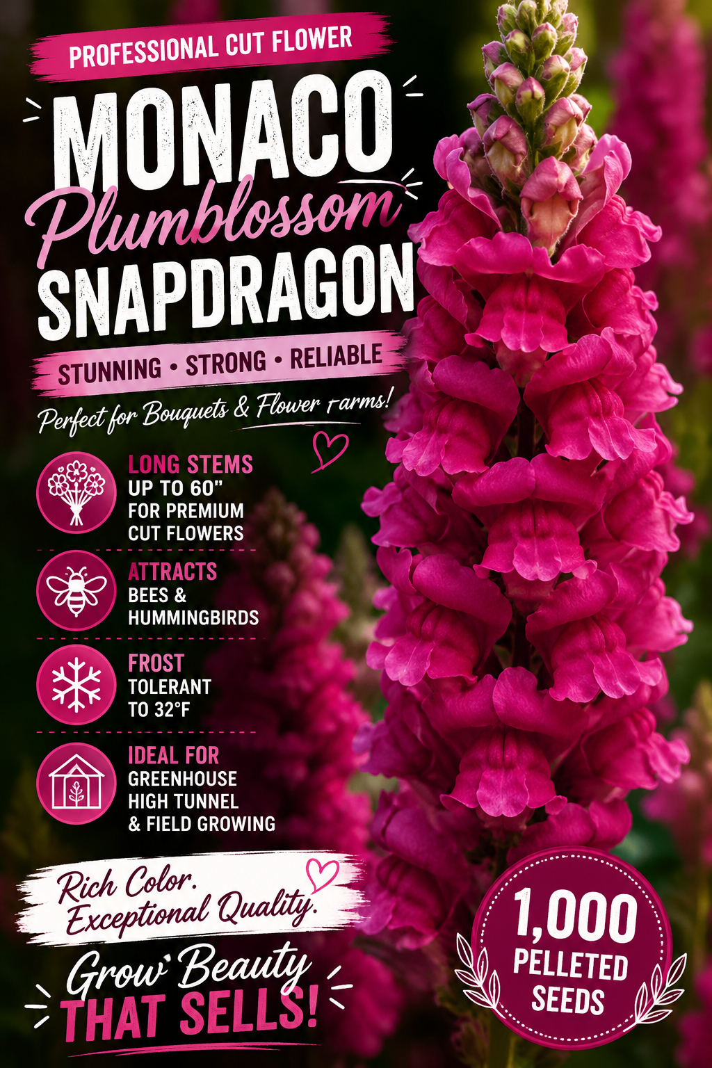 1,000 Pelleted Snapdragon Seeds – Monaco Purple Cut Flower Snapdragon