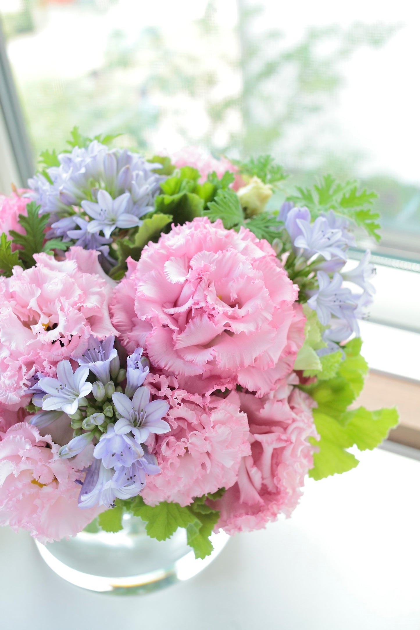 Bulk Lisianthus Seeds Lisianthus Voyage Pink 1,000 Pelleted Seeds