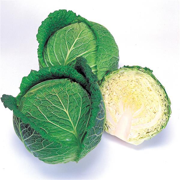 Cabbage Seeds Savoy Ace Vegetable Seeds