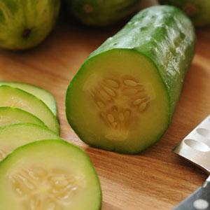 Cucumber Seeds Cucumber Gold Standard Vegetable Seeds