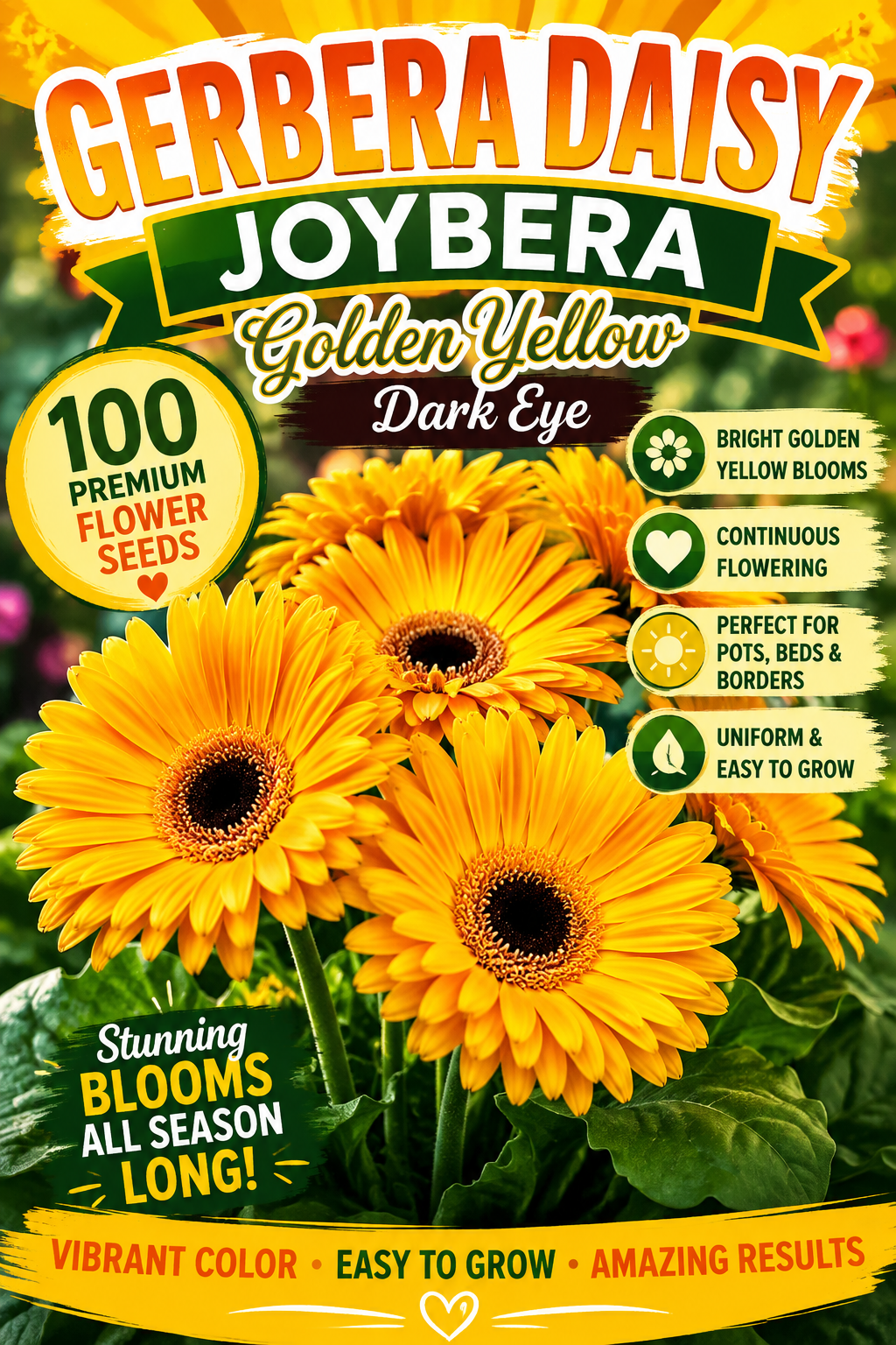 Gerbera Daisy Joybera Golden Yellow Dark Eye Flower Seeds – 100 Premium Flower Seeds