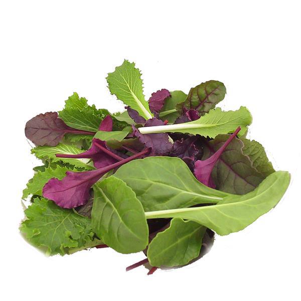 Lettuce Seeds Sweet Salad Blend Vegetable Seeds