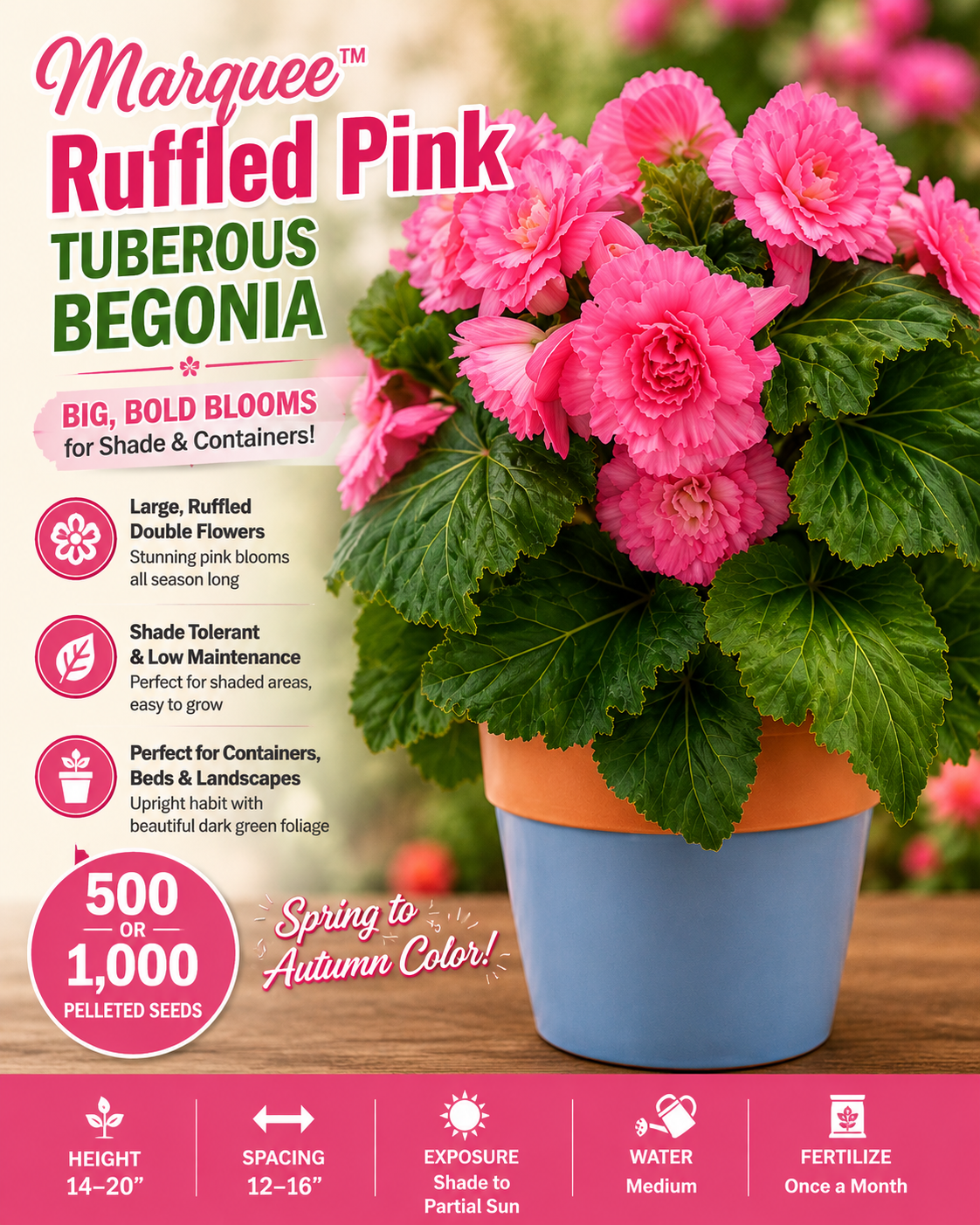 Pelleted Begonia Seeds Marquee™ Ruffled Pink Tuberous Begonia