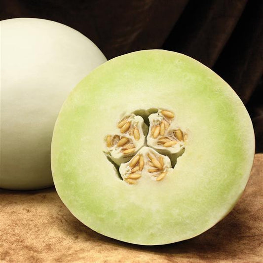 Melon Seeds Melon Dulce Nectar Vegetable Seeds