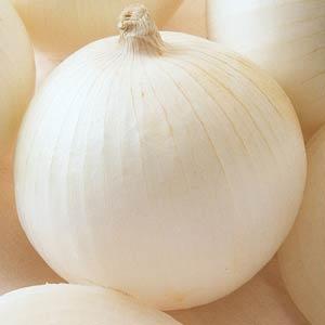 Onion Seeds Sierra Blanca Vegetable Seeds F1