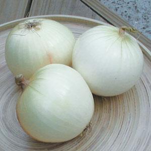 Onion Seeds White Sweet Spanish Vegetable Seeds