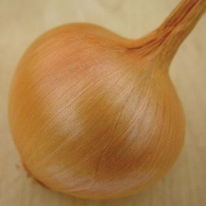 Onion Seeds Yellow Sweet Spanish Vegetable Seeds