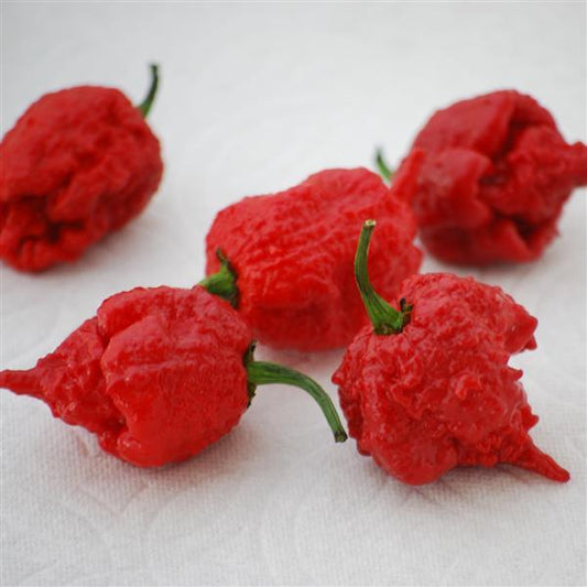 Hot Pepper Carolina Reaper Vegetable Seeds