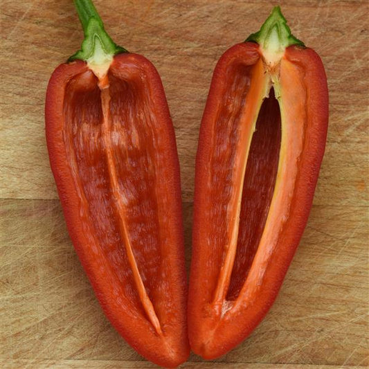 Sweet Pepper Seeds Peppi Red Vegetable Seeds
