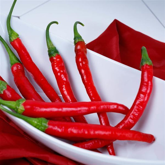 Hot Pepper Seeds Rajah Vegetable Seeds