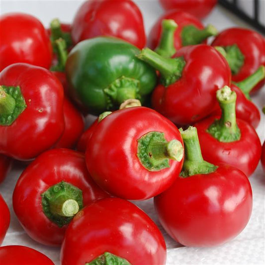 Hot Pepper Seeds Red Hot Cherry Vegetable Seeds