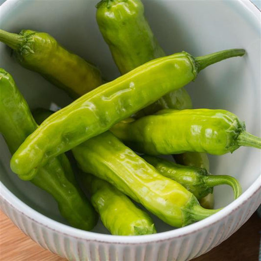 Hot Pepper Seeds Shishito Vegetable Seeds