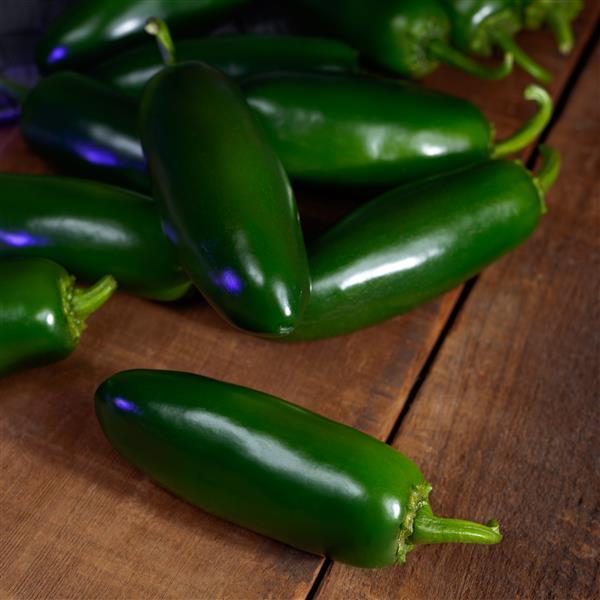 trailingpetunia Jalapeno Soundwave Vegetable Seeds
