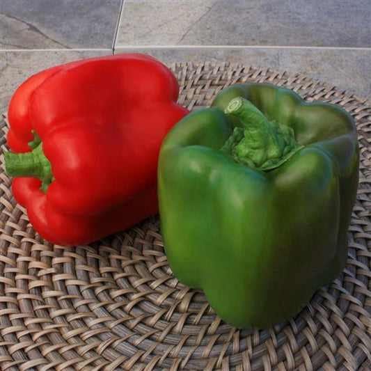 Sweet Pepper Seeds Touchdown Vegetable Seeds