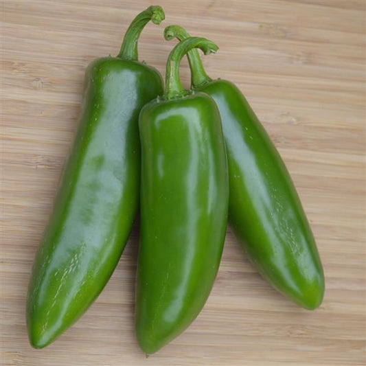 Pepper Seeds Tricked You Jalapeno No Heat Vegetable Seeds