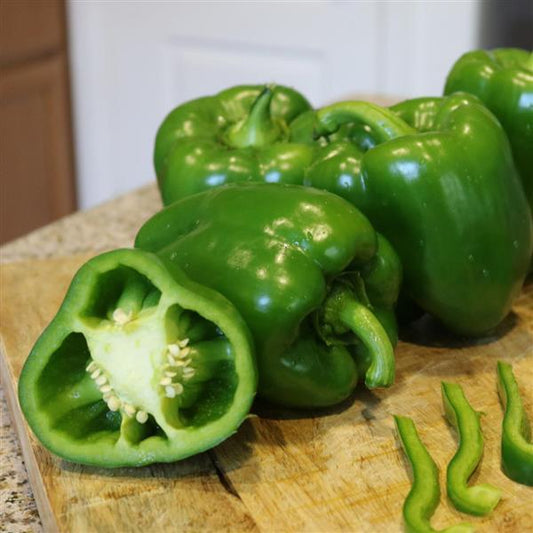 Sweet Bell Pepper Turnpike Vegetable Seeds