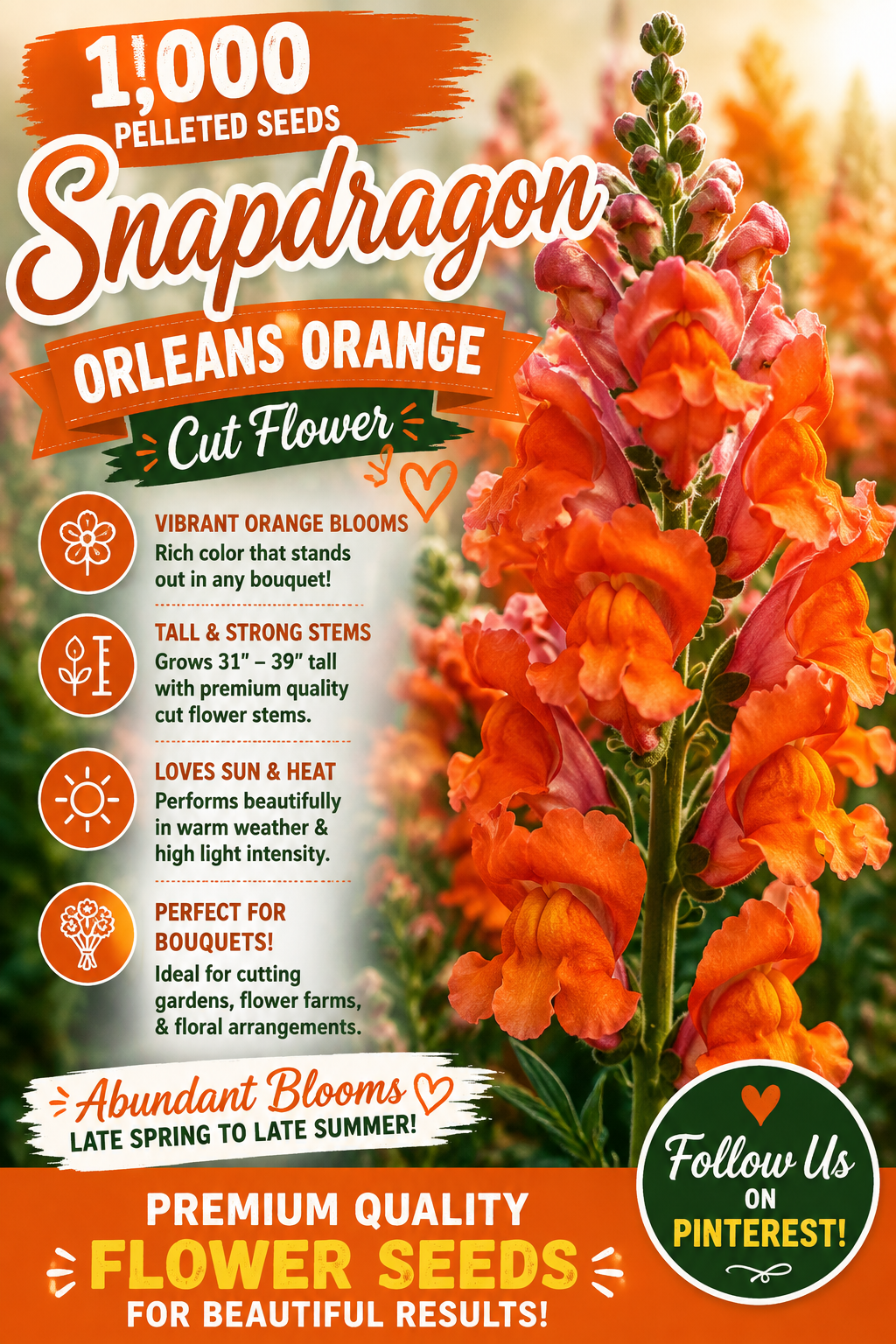 1,000 Pelleted Snapdragon Seeds Orleans Orange Cut Flower