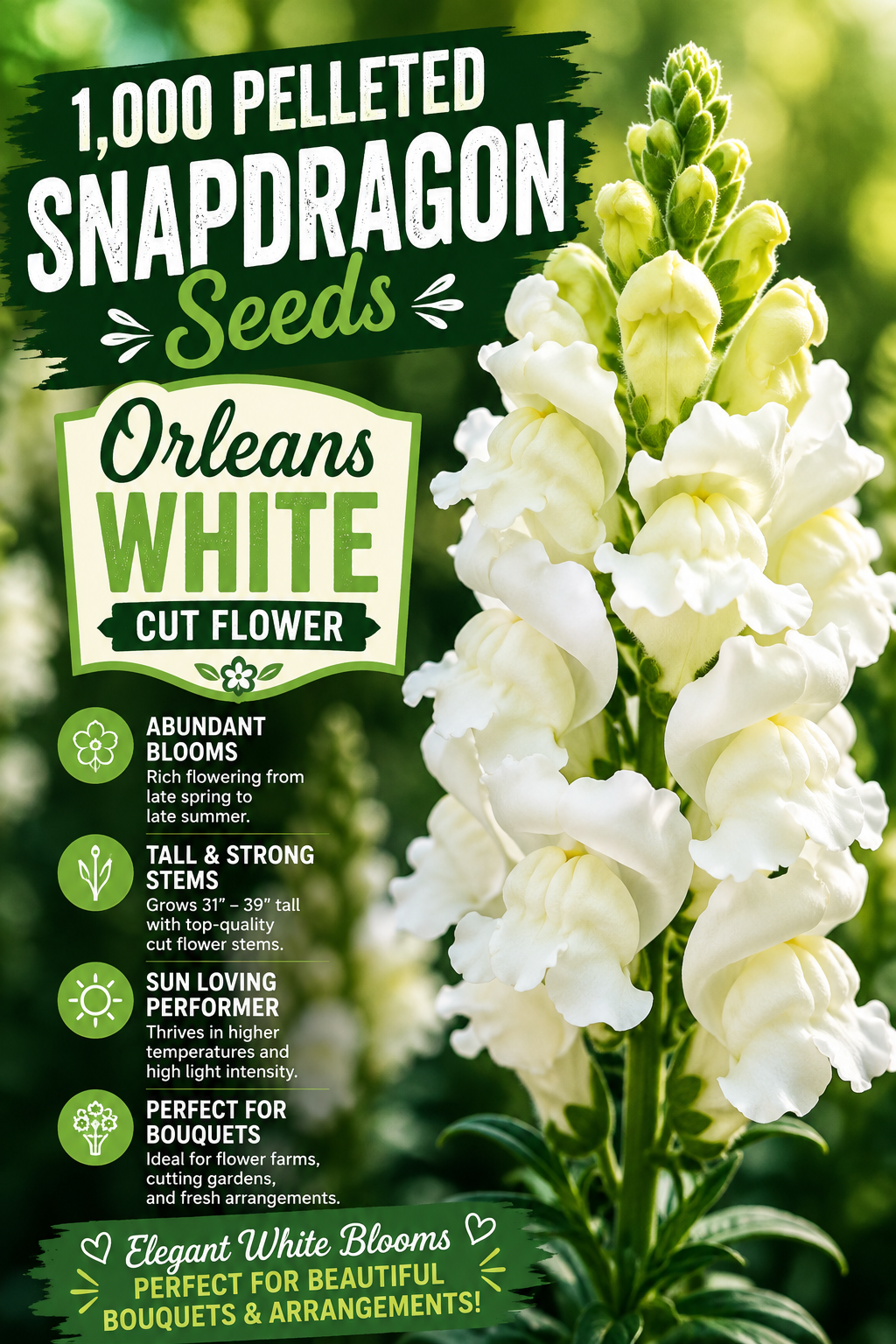 1,000 Pelleted Snapdragon Seeds Orleans White Cut Flower