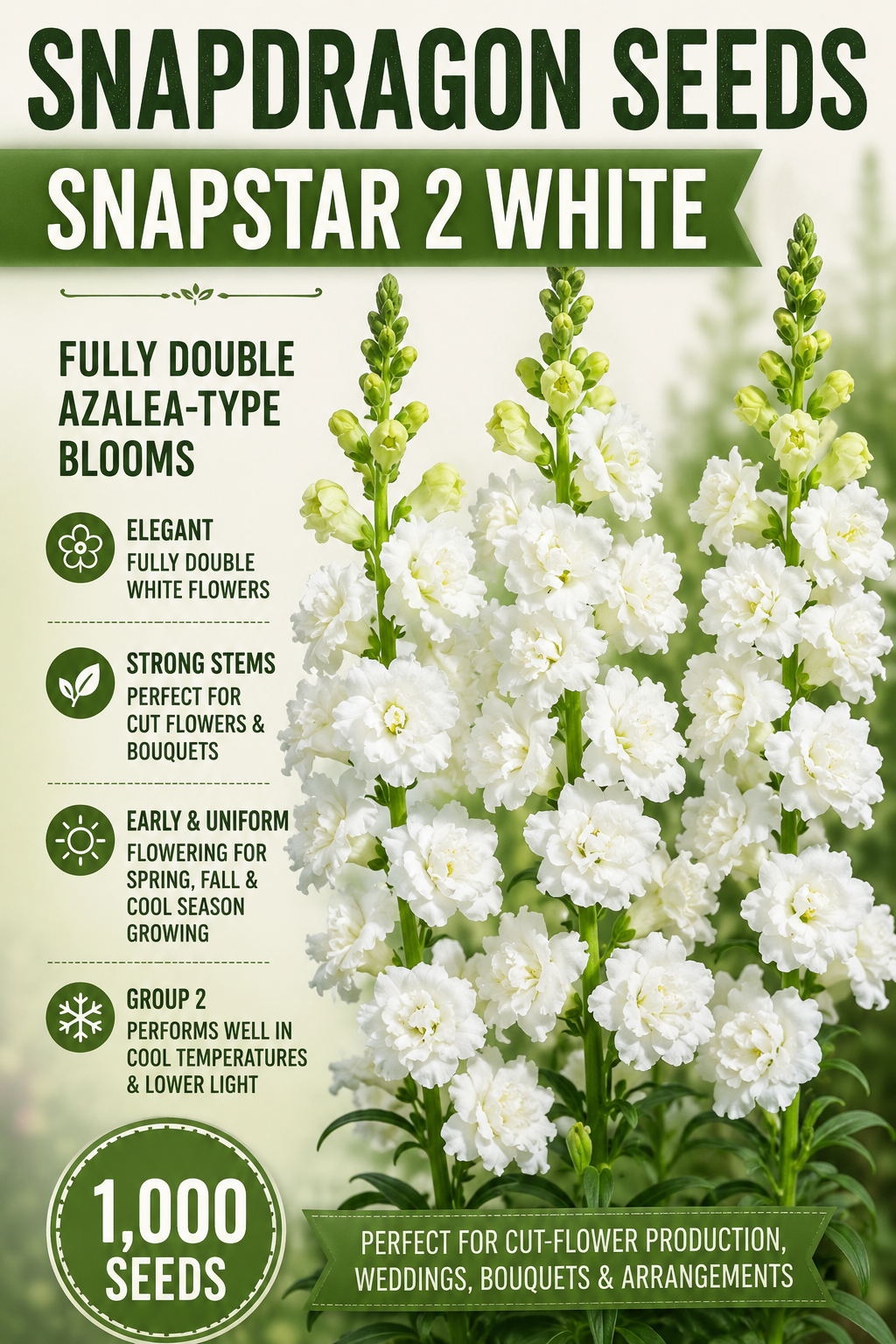 Snapdragon Seeds SnapStar 2 White – 1,000 Seeds