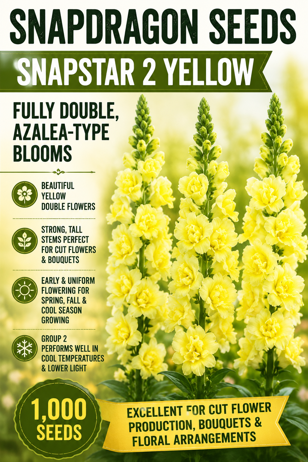 Snapdragon Seeds SnapStar 2 Yellow – 1,000 Seeds