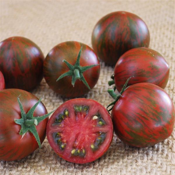 Tomato Purple Zebra F1 Hybrid