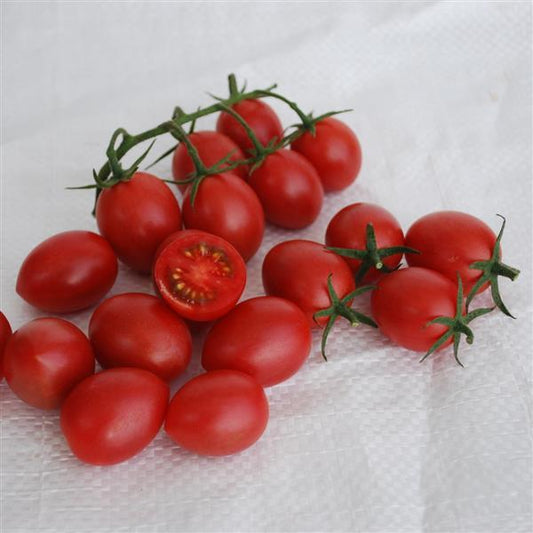 Tomato Seeds Tomato Raspberry Drop F1