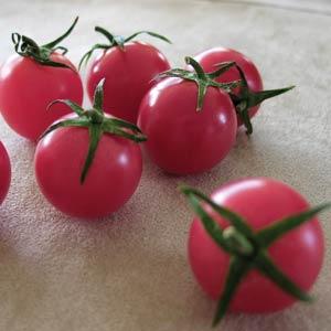 Tomato Seeds Tomato Sweet Treats F1 Hybrid