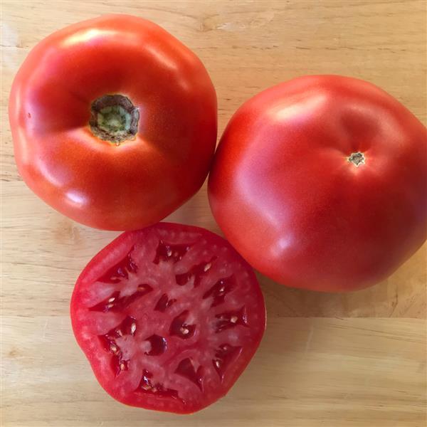 Tomato Seeds Tomato Thunderbird Hybrid