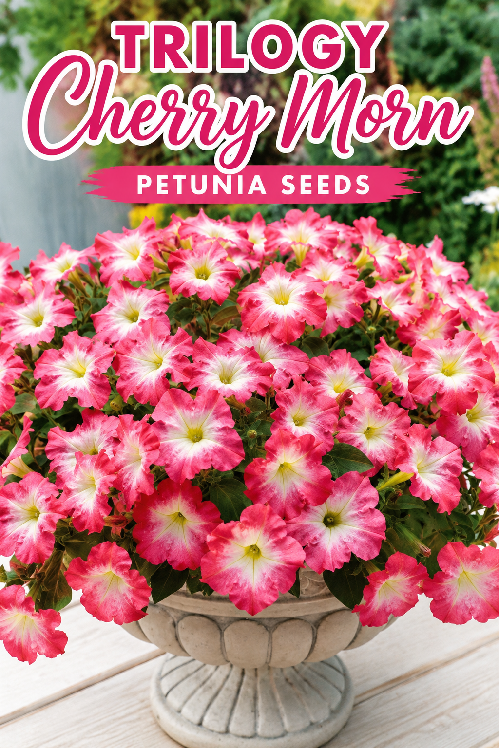 Petunia Seeds Trilogy Cherry Morn Pelleted Flower Seeds
